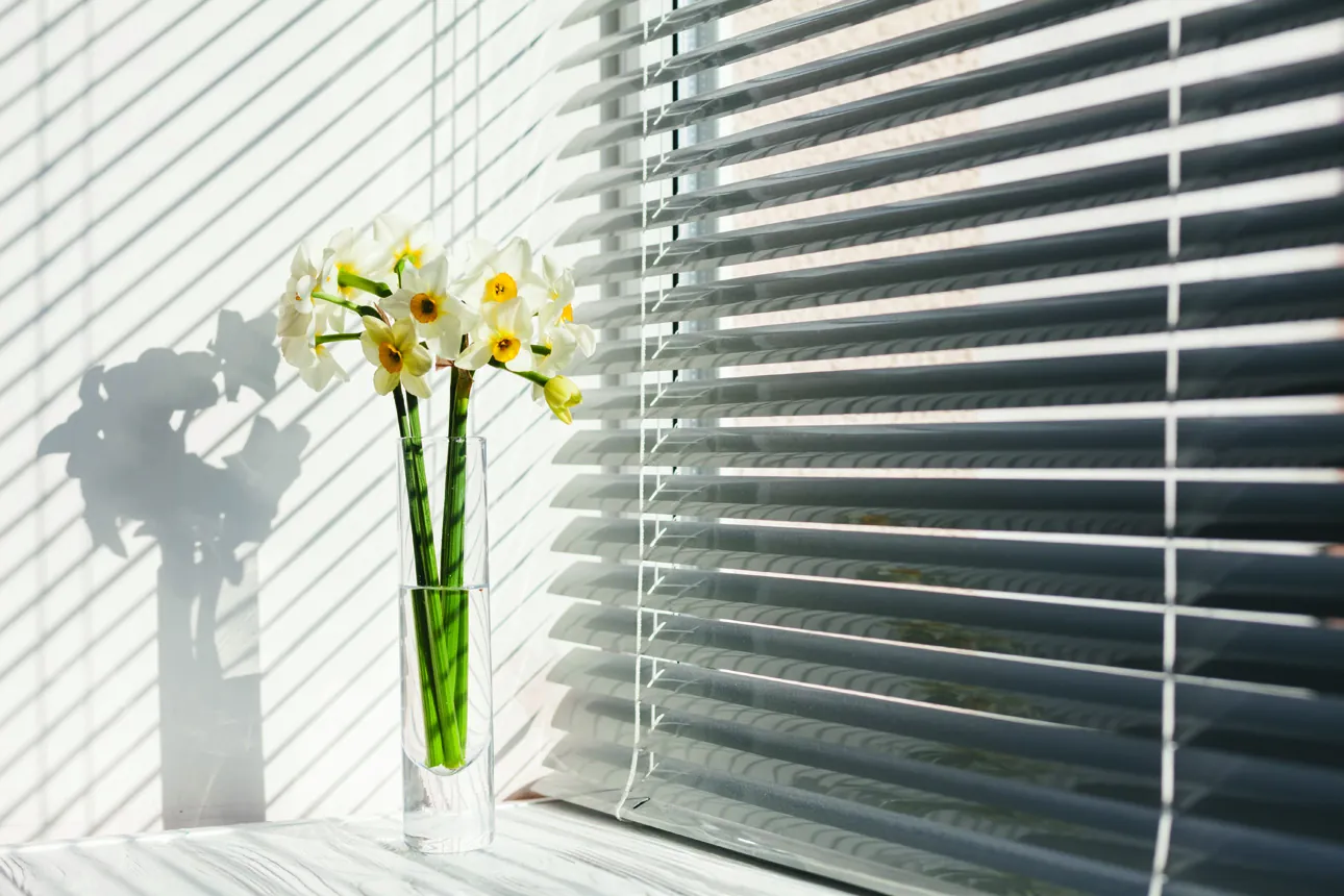 A grey sofa beside floor-length sheer and blackout curtains in soft daylight