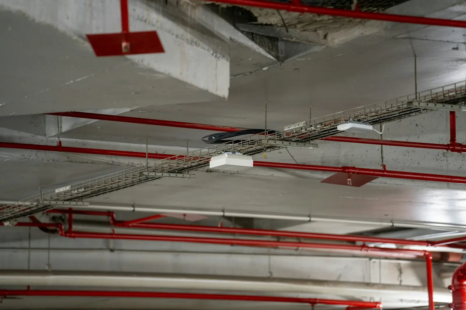 Red fire sprinkler pipelines and cable trays running along a commercial building ceiling